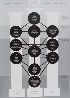 Diagram of the Tree of Life